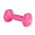 Hot Sale Men Home Gym Strength Trainning Color Plastic Dipping Pound Weight Neoprene Dumbbells lb for Beginner